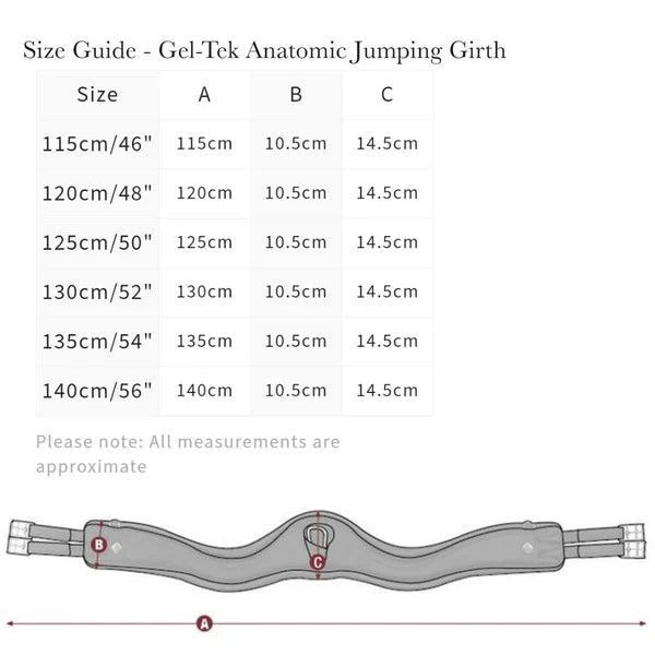 Premium Anatomic Leather Girth with Integrated Carabiner - Haram Exports